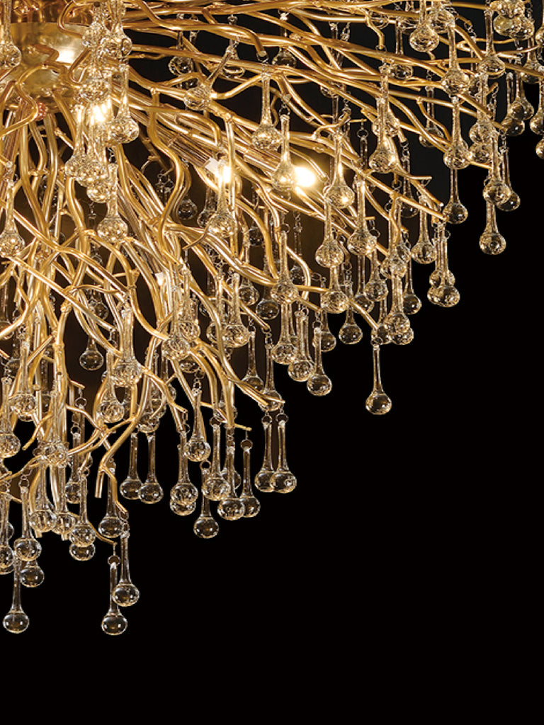 Barclay | Buy LED Chandeliers Online in India | Jainsons Emporio Lights